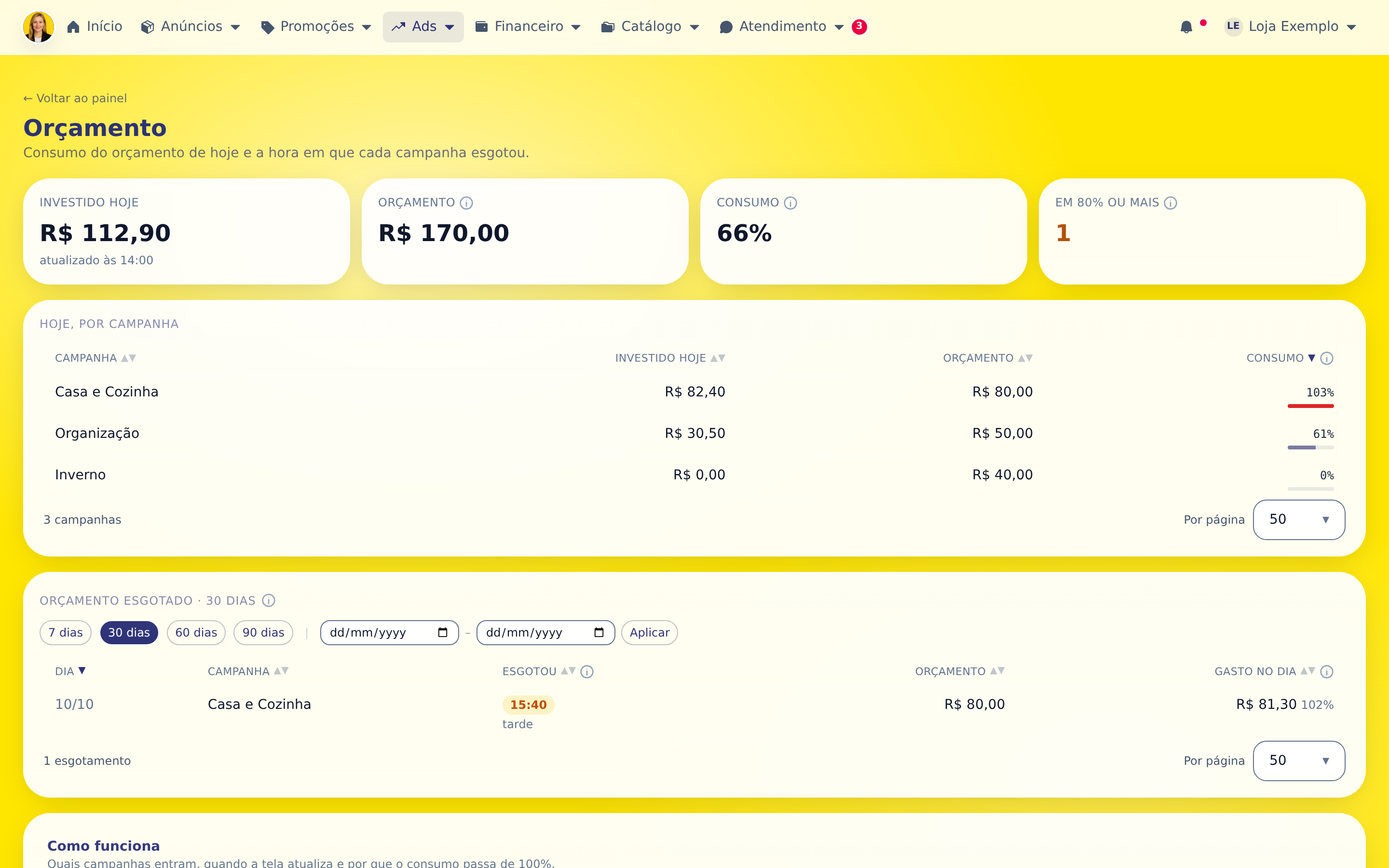 Passo 1: Os quatro números do topo resumem o dia: quanto já foi investido, o orçamento das campanhas, o consumo e quantas campanhas passaram de 80%.
