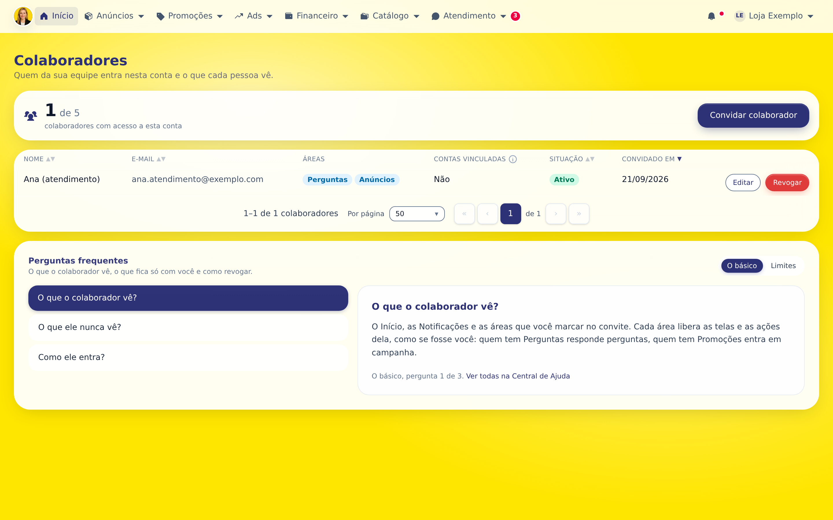 Passo 1: A tela mostra quantos colaboradores a conta tem (até 5) e a lista com nome, e-mail, áreas e situação.