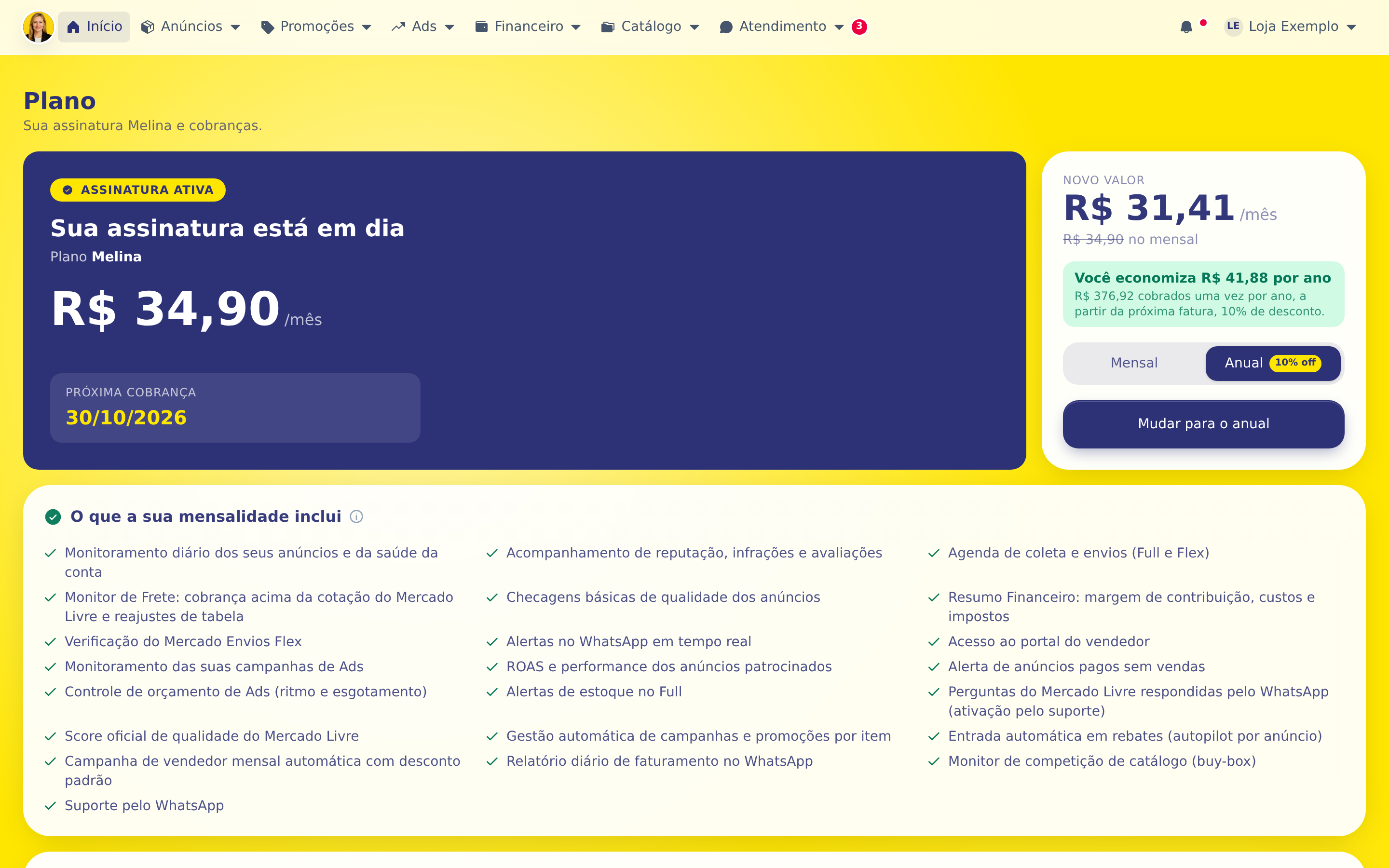 Passo 1: A tela mostra o estado da sua assinatura (com o valor e a data da próxima cobrança quando ela está em dia), o tamanho medido da sua conta e o valor mensal calculado a partir dele.